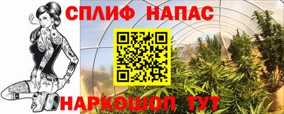 дмт Пушкино