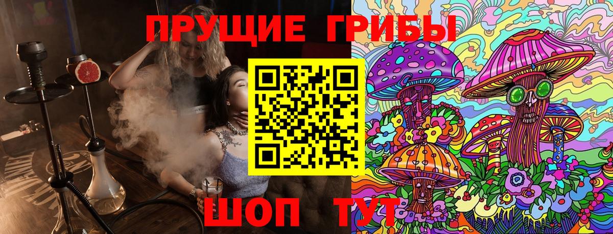 Псилоцибиновые грибы мицелий Подольск