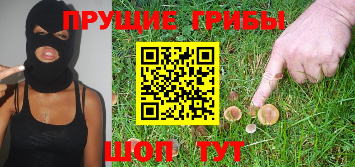 Галлюциногенные грибы Psilocybine cubensis  Псилоцибиновые грибы мухоморы  Подольск  Вход с VPN 